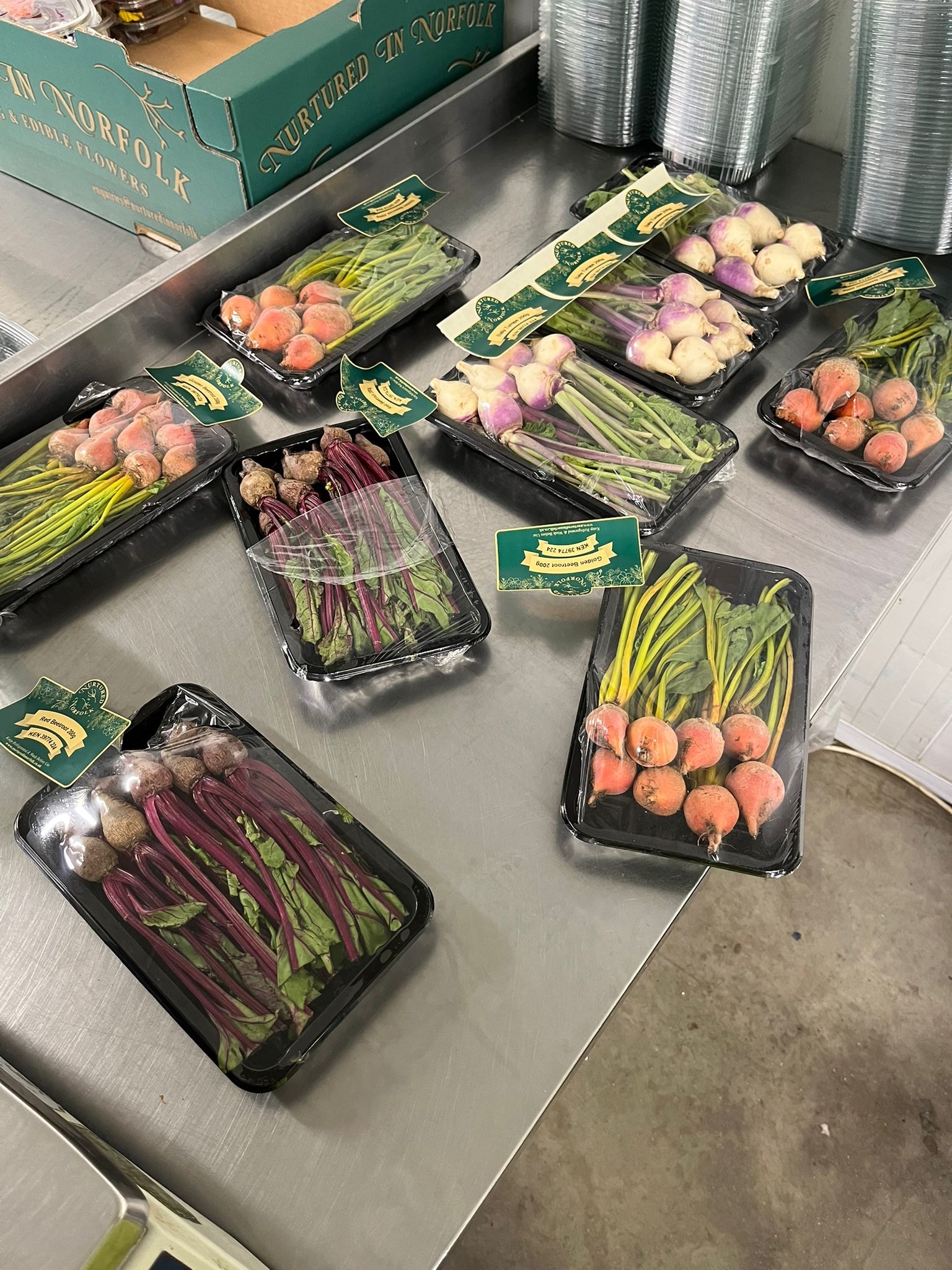 Baby vegetables and micro greens